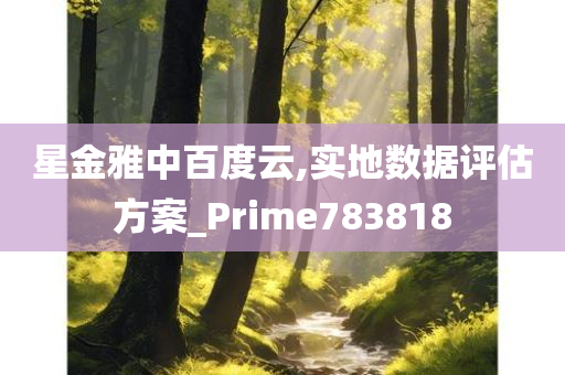 星金雅中百度云,实地数据评估方案_Prime783818