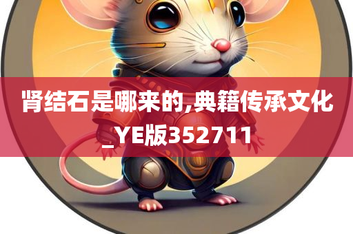 肾结石是哪来的,典籍传承文化_YE版352711