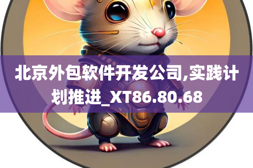 北京外包软件开发公司,实践计划推进_XT86.80.68