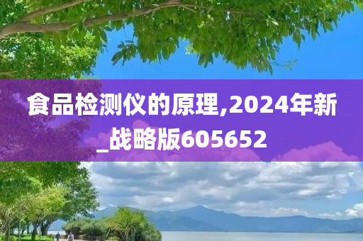 食品检测仪的原理,2024年新_战略版605652