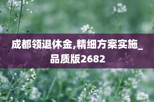 成都领退休金,精细方案实施_品质版2682