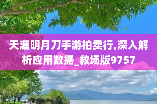 天涯明月刀手游拍卖行,深入解析应用数据_救场版9757