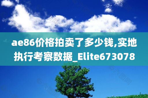 ae86价格拍卖了多少钱,实地执行考察数据_Elite673078