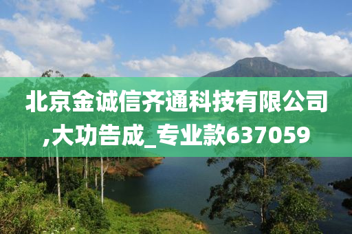 北京金诚信齐通科技有限公司,大功告成_专业款637059