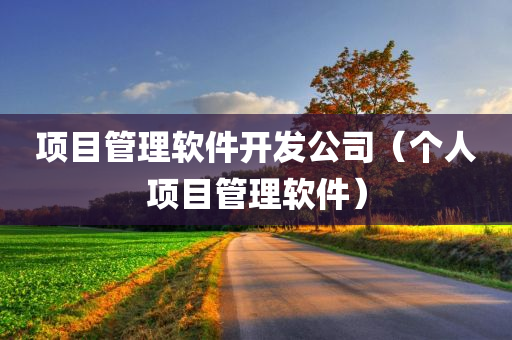 项目管理软件开发公司（个人项目管理软件）