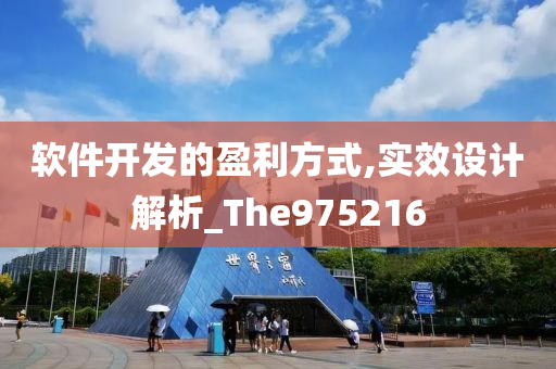 软件开发的盈利方式,实效设计解析_The975216