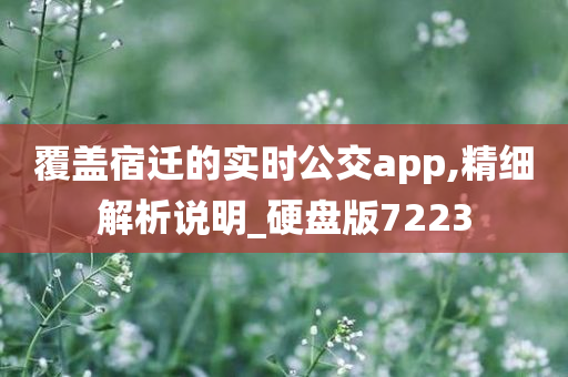 覆盖宿迁的实时公交app,精细解析说明_硬盘版7223