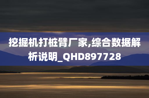 挖掘机打桩臂厂家,综合数据解析说明_QHD897728