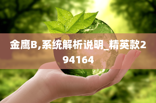 金鹰B,系统解析说明_精英款294164