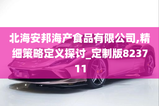 北海安邦海产食品有限公司,精细策略定义探讨_定制版823711