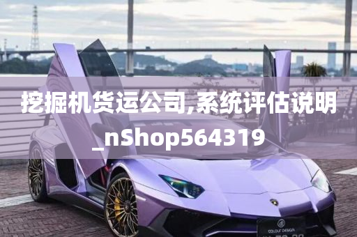 挖掘机货运公司,系统评估说明_nShop564319