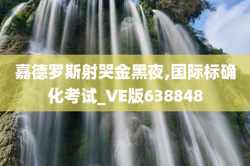 嘉德罗斯射哭金黑夜,国际标确化考试_VE版638848