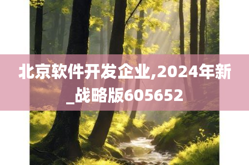 北京软件开发企业,2024年新_战略版605652