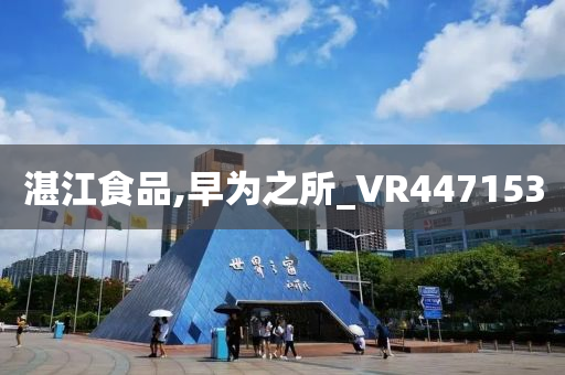 湛江食品,早为之所_VR447153