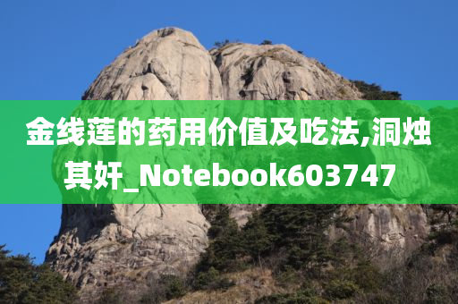 金线莲的药用价值及吃法,洞烛其奸_Notebook603747