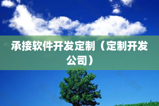 承接软件开发定制（定制开发公司）