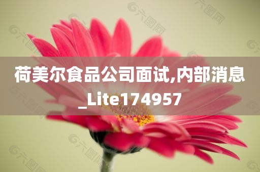 荷美尔食品公司面试,内部消息_Lite174957