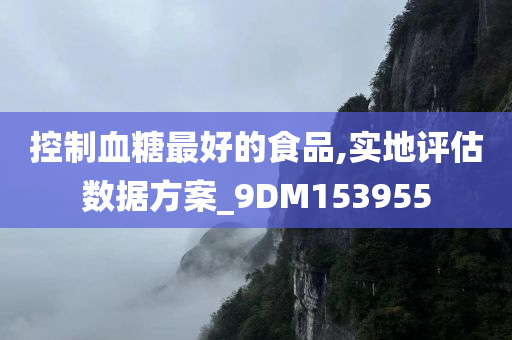 控制血糖最好的食品,实地评估数据方案_9DM153955