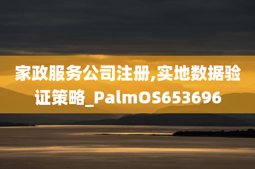 家政服务公司注册,实地数据验证策略_PalmOS653696