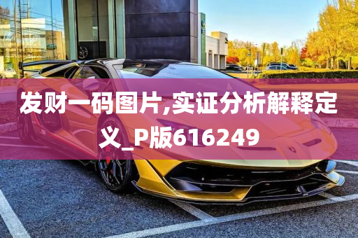 发财一码图片,实证分析解释定义_P版616249