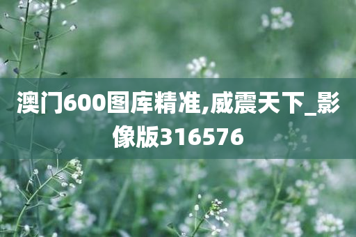 澳门600图库精准,威震天下_影像版316576