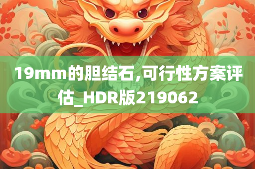 19mm的胆结石,可行性方案评估_HDR版219062