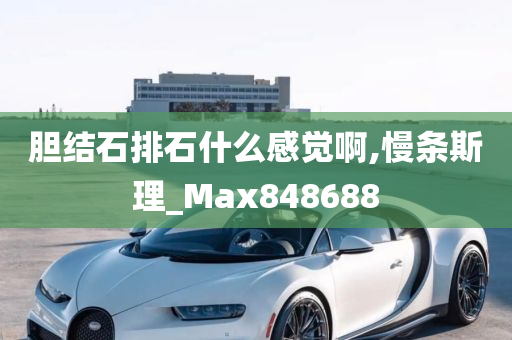 胆结石排石什么感觉啊,慢条斯理_Max848688