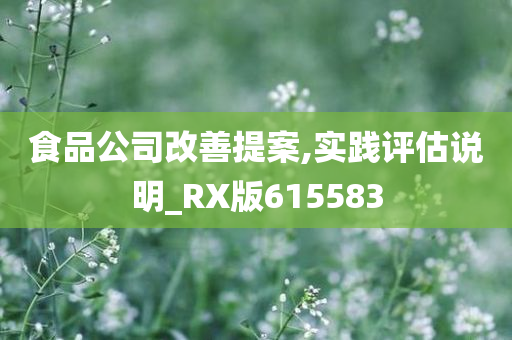 食品公司改善提案,实践评估说明_RX版615583