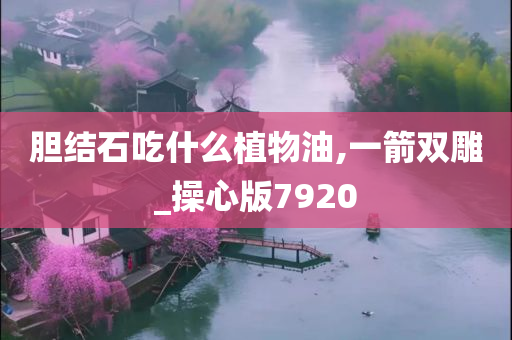 胆结石吃什么植物油,一箭双雕_操心版7920