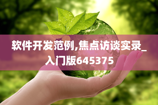 软件开发范例,焦点访谈实录_入门版645375