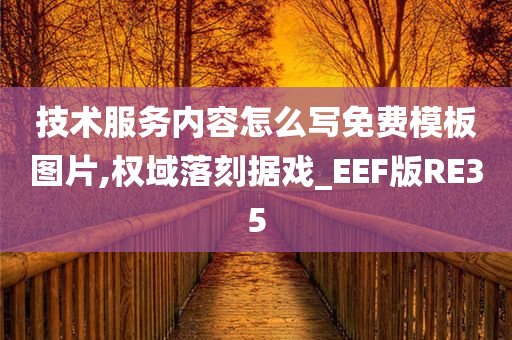 技术服务内容怎么写免费模板图片,权域落刻据戏_EEF版RE35