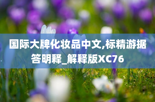 国际大牌化妆品中文,标精游据答明释_解释版XC76