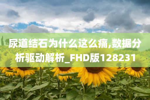 尿道结石为什么这么痛,数据分析驱动解析_FHD版128231