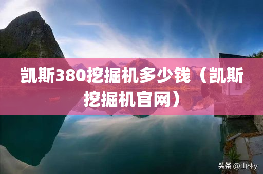 凯斯380挖掘机多少钱（凯斯挖掘机官网）