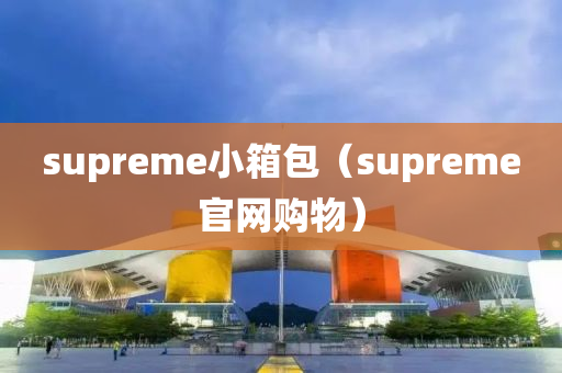 supreme小箱包（supreme官网购物）