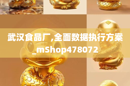 武汉食品厂,全面数据执行方案_mShop478072