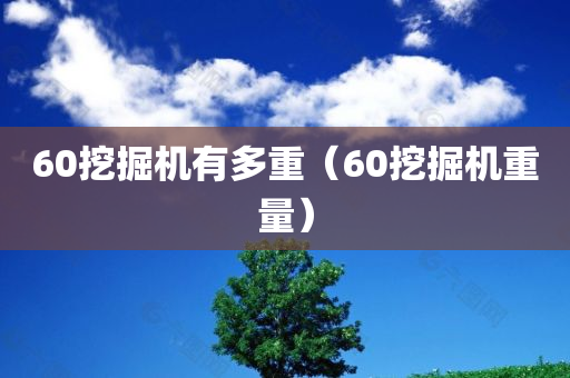 60挖掘机有多重（60挖掘机重量）