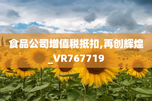 食品公司增值税抵扣,再创辉煌_VR767719