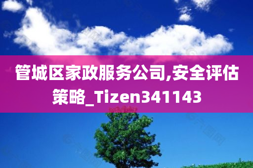 管城区家政服务公司,安全评估策略_Tizen341143