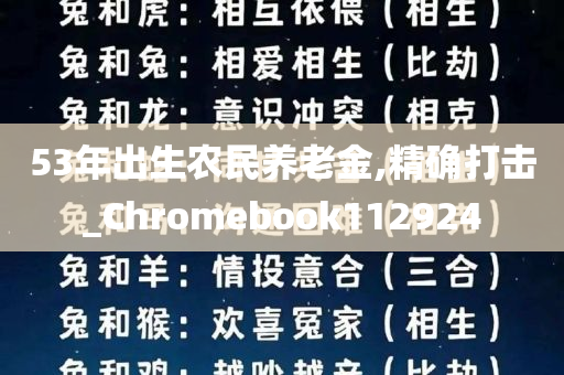 53年出生农民养老金,精确打击_Chromebook112924