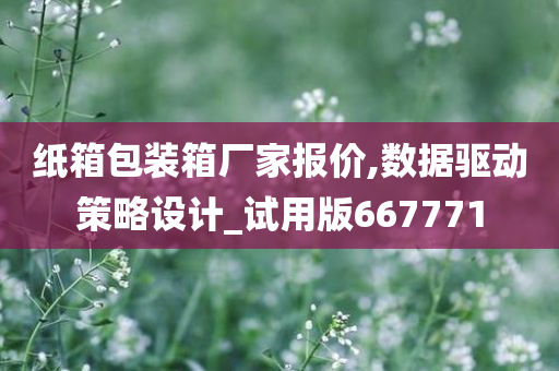 纸箱包装箱厂家报价,数据驱动策略设计_试用版667771