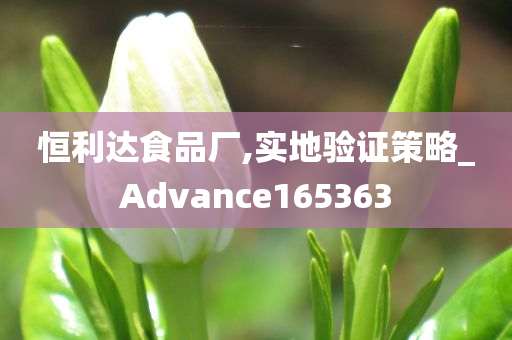 恒利达食品厂,实地验证策略_Advance165363