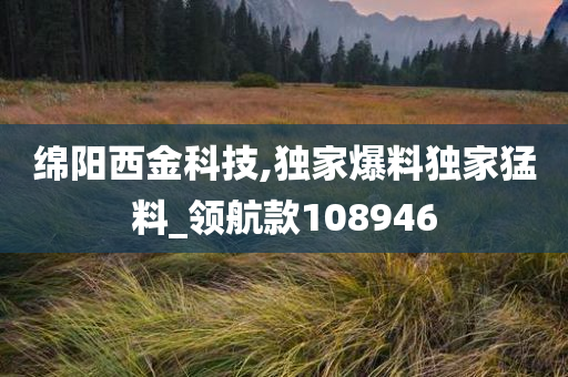 绵阳西金科技,独家爆料独家猛料_领航款108946