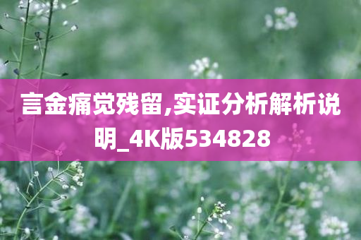 言金痛觉残留,实证分析解析说明_4K版534828