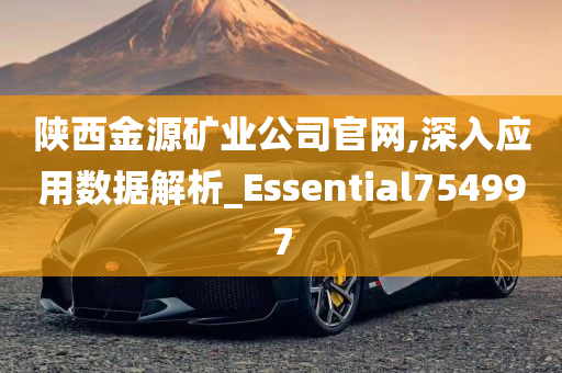 陕西金源矿业公司官网,深入应用数据解析_Essential754997