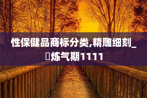 性保健品商标分类,精雕细刻_‌炼气期1111