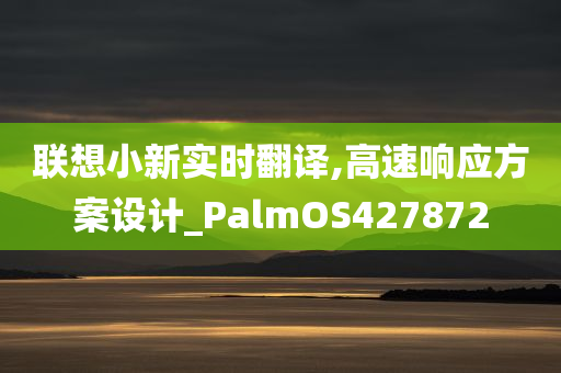 联想小新实时翻译,高速响应方案设计_PalmOS427872