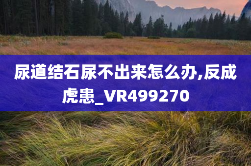 尿道结石尿不出来怎么办,反成虎患_VR499270