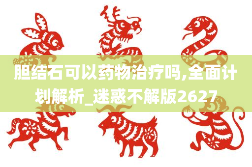 胆结石可以药物治疗吗,全面计划解析_迷惑不解版2627