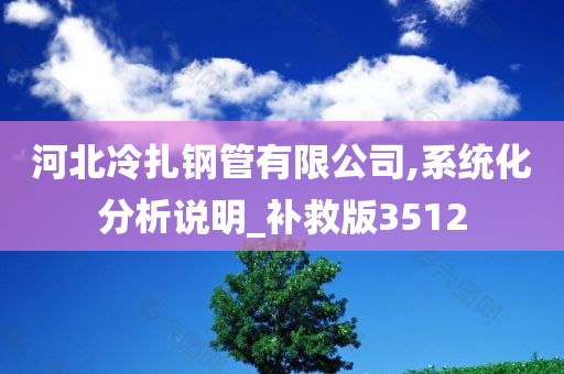 河北冷扎钢管有限公司,系统化分析说明_补救版3512